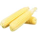 Corn