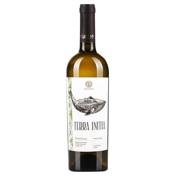 Вино Terra Initia Rkatsiteli біле сухе 12,5% 0,75л - купити, ціни на - фото 2