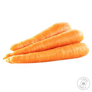 vegetables carrot Without brand fresh Ukraine