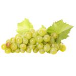 White Muscat Grapes Italy