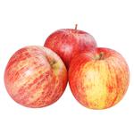 Gala Apples 4pcs