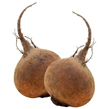 Trostynka Young Farmer's Beet - buy, prices for WINETIME - photo 1