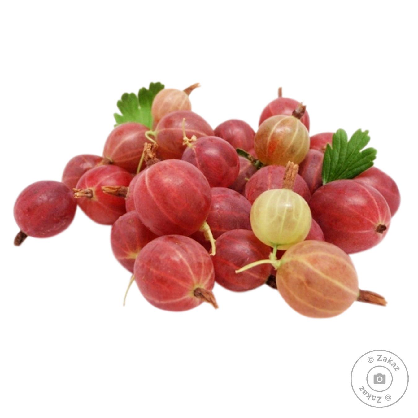 

Крыжовник весовой