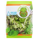 Puchok-Svizhachok Lollo Biondo + Lollo Rossa Lettuce 75g
