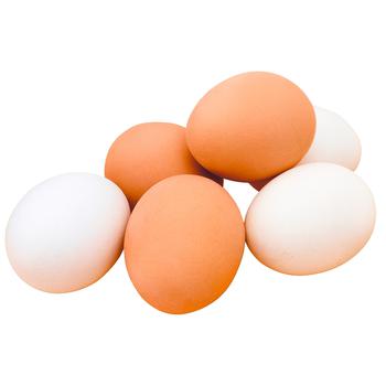 Chicken Egg С1/С2 1pc