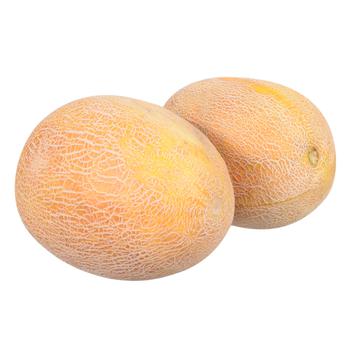 Melon Ukraine - buy, prices for Tavria V - photo 1