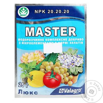 Master-Agro Fertilizer For Needles 25g - buy, prices for Tavria V - photo 1