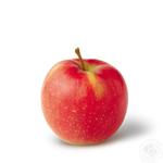 Fruit apple fresh
