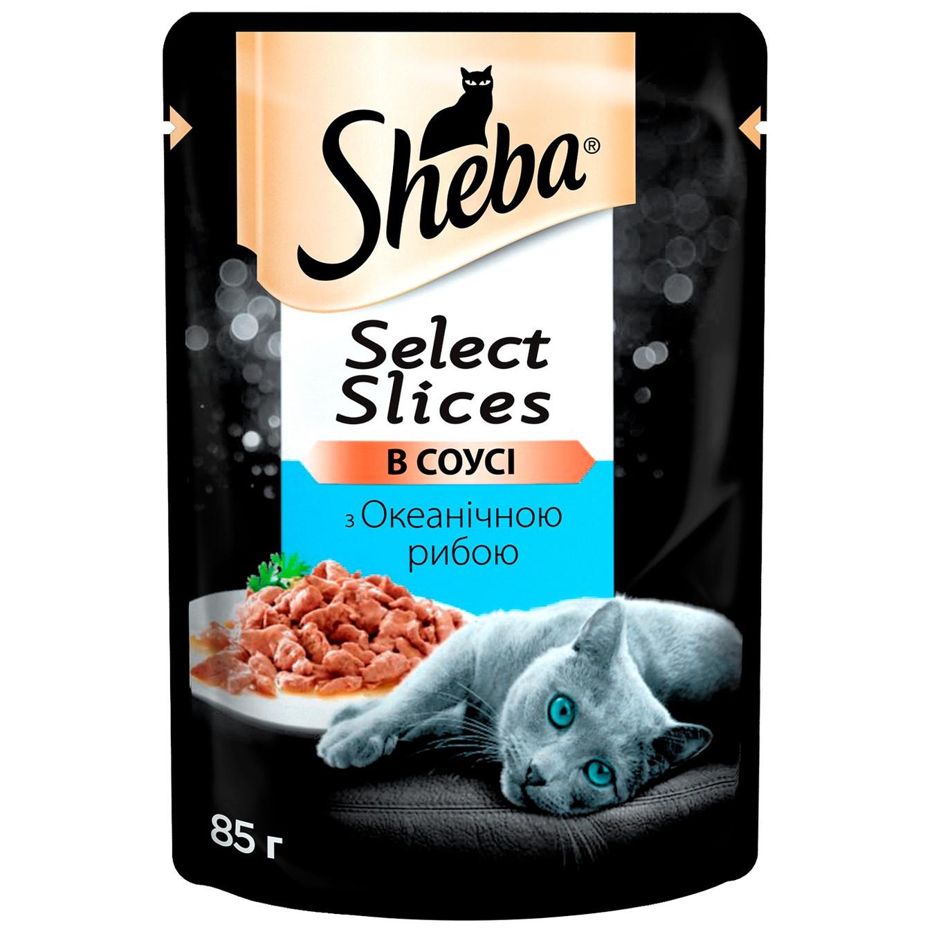 sheba cat food dry