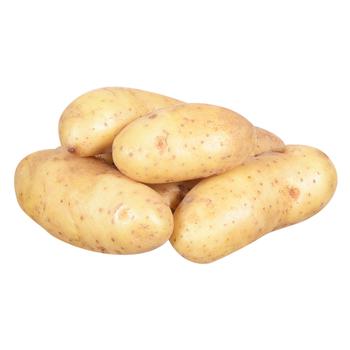 White Potato - buy, prices for Tavria V - photo 1