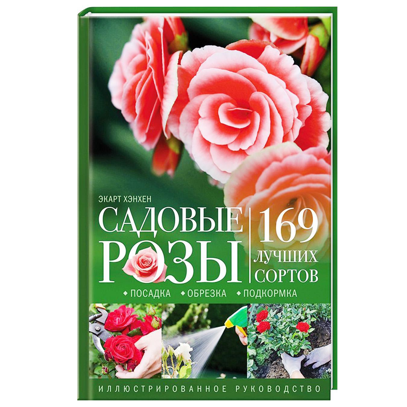 

Книга Садовые Розы