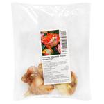 Apricot Parrot Parrot Tulip Bulbs 3pcs