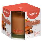 Bolsius True Scents Apple with Cinnamon Candle 95/95