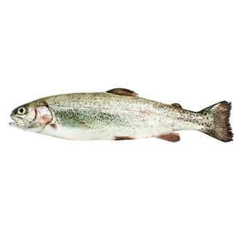 Chilled Trout 4-5 - buy, prices for NOVUS - photo 1