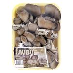 Fresh Oyster Mushrooms 250g