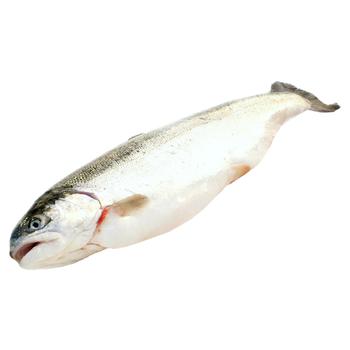 Chilled Whole Trout - buy, prices for - photo 1