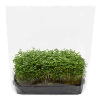 Микрозелень брокколи 200г - купить, цены на WINETIME - фото 1