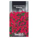 Seedera Flowers Carnation-grass Red Perennial Seeds 0.2g