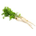 Parsley Root