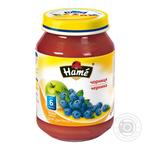 Puree Hame Blueberry for 5+ month old babies glass jar 190g Czech Republic