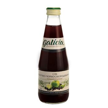 Galicia Pasteurized Apple-Blackcurrant Juice 0.3l - buy, prices for NOVUS - photo 1