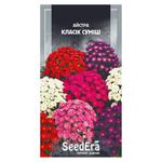Насіння Seedera Квіти Айстра низькоросла Класік Суміш 0,25г