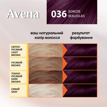 AVENA Gloss Color 036 Beaujolais Permanent Cream Hair Dye - buy, prices for - photo 4