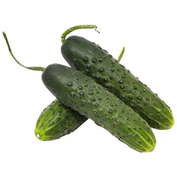 Organic Cucumber Ukraine - buy, prices for Vostorg - photo 1