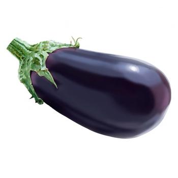 Eggplant Import - buy, prices for NOVUS - photo 1