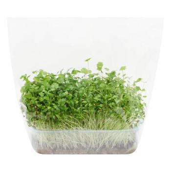 Cilantro Microgreens 200g - buy, prices for WINETIME - photo 1