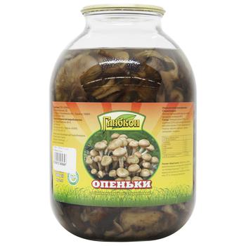Glybkon Autumn Honey Mushrooms 3l - buy, prices for - photo 1