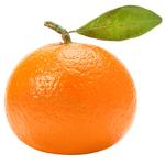 Mandora Mandarin