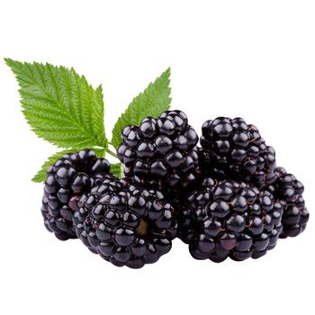 Ежевика - купить, цены на Таврия В - фото 1