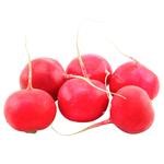 Red Radish