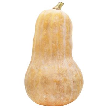 Pumpkin - buy, prices for MasterZoo - photo 1