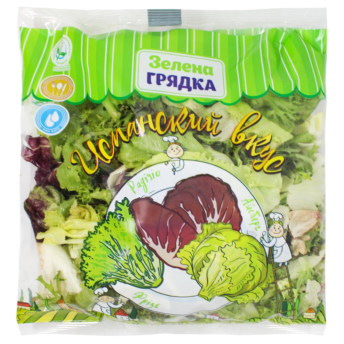 

Салатный микс Зеленая Грядка Испанский вкус 200г