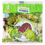 Zelena Gryadka Spanish Taste Salad Mix 200g