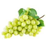 Виноград Джамбо Італія