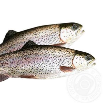 Fish trout fresh 200-300g