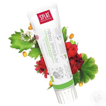 Зубная паста Splat Professional Лечебные травы 100мл купить, цены на МегаМаркет - фото 2