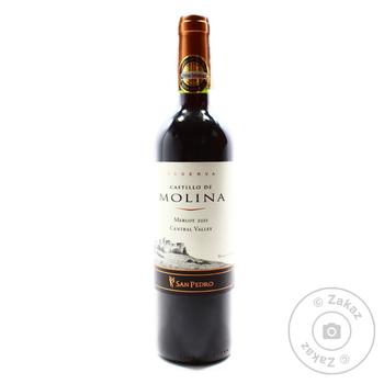 Wine merlot Molina 14.5% 750ml glass bottle Chili - buy, prices for NOVUS - photo 1