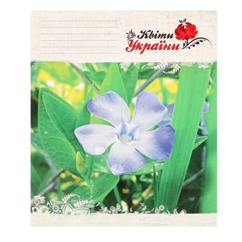 Polihrafist Line Notebook 48 Sheets - buy, prices for Ideal - photo 1