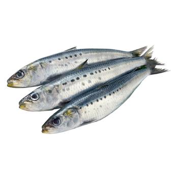 Light Salted Sardines - buy, prices for - photo 1