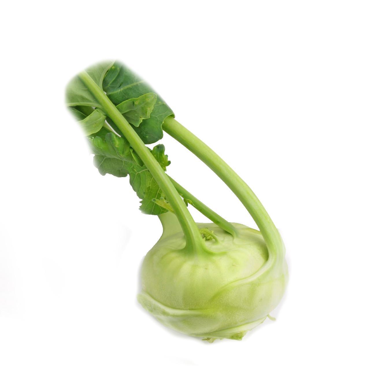 Як користуватися Королабом