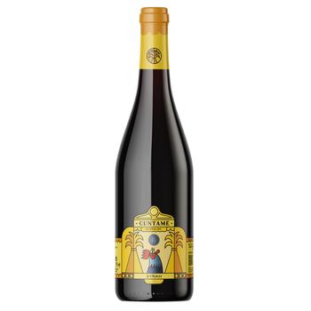 Cuntame Salento Red Dry Wine 13% 0.75l - buy, prices for NOVUS - photo 1