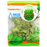 Puchok-Svizhachok Kale Cabbage Lettuce 100g