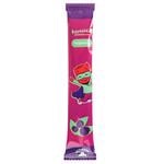 Alexis Fruit Blueberry Pastille 17g