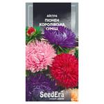 Seedera Tall Aster Pyonen Royal Mix Flowers 0.25g