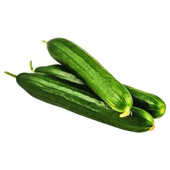 Premium Ukraine Cucumbers