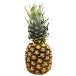Pineapple Caliber 10, pc